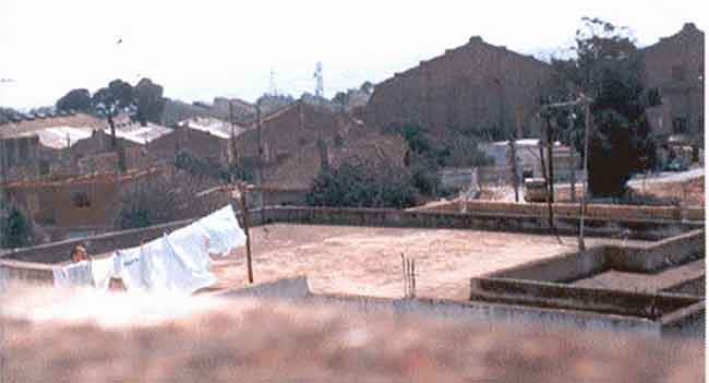 Photo de Ren&eacute; Haccoun