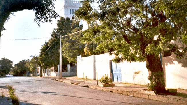 Photo d'Arlette Muscat, reproduction interdite sans son autorisation