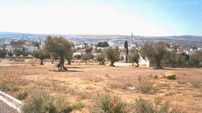 Photo d'Arlette Muscat, reproduction interdite sans son autorisation