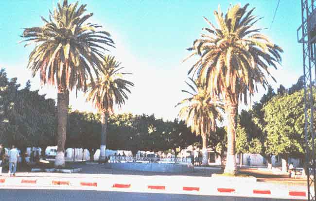 Photo d'Arlette Muscat, reproduction interdite sans son autorisation