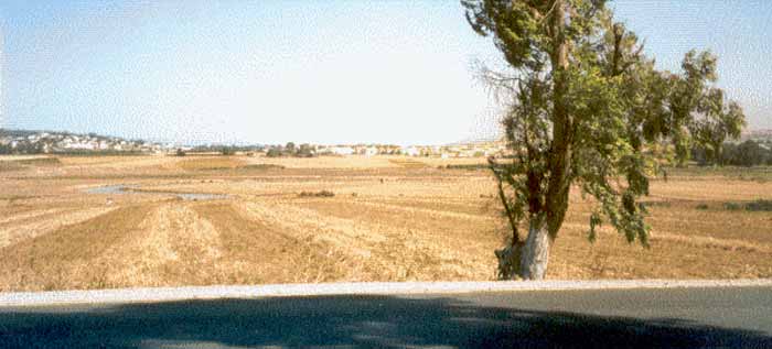 Photo d'Abdallah Gharbi, reproduction interdite sans son autorisation