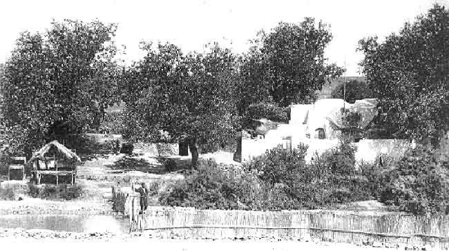 carte postale d'Arlette Muscat Crois&eacute;, reproduction interdite sans son autorisation