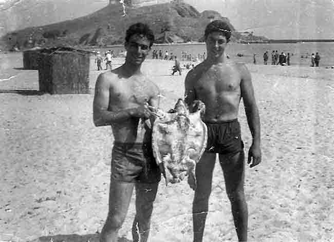 Photo propri&eacute;t&eacute; de L. Fiordarancio