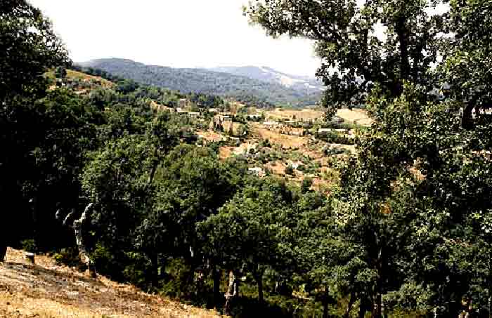 Photo propri&eacute;t&eacute; de Monique Vergin