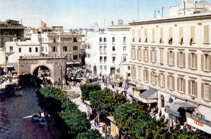 Photo propri&eacute;t&eacute; de Monique Vergin, reproduction interdite